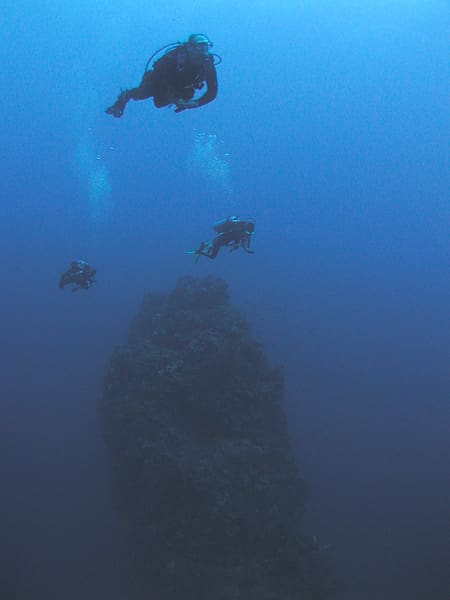 Underwater pinnacle, Saba, Netherlands Antilles.