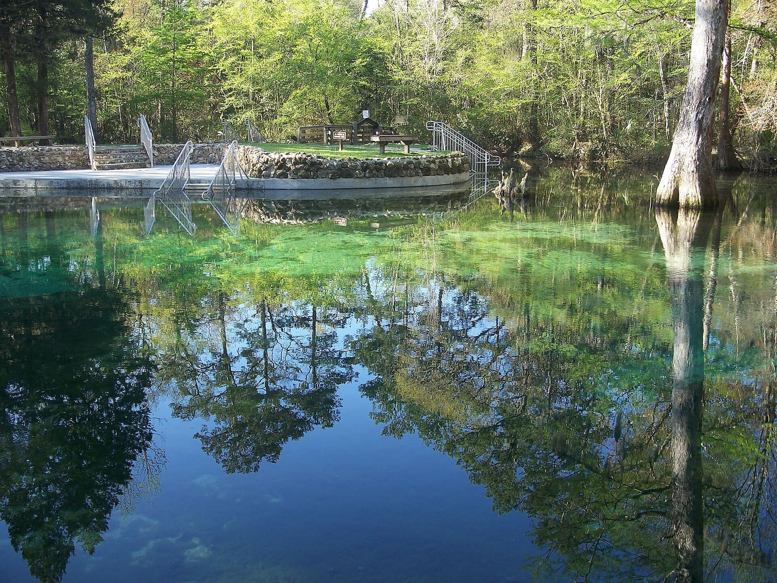The springs in Ponce de Leon Springs State Park.